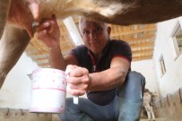 Tüketen Değil Üreten Olmak İstedi, 40Yıl Sonra Köyüne Geri Döndü