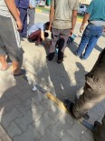 Gaziantep'te Trafik Kazası Açıklaması 5 Yaralı Haberi