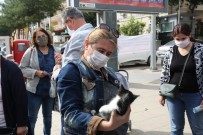 Gaziemir'de Sokak Hayvanları Yeni Yuvalarına Kavuştu Haberi
