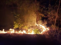 Yangın 500 Metrekarelik Ormanlık Alana Zarar Verdi