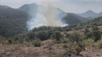 Adana'da Orman Yangını