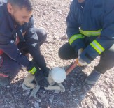 Başı Plastik Bidona Sıkışan Köpek İtfaiye Rafından Kurtarıldı Haberi