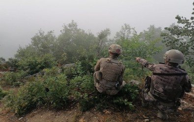 Eski HDP'li vekil Demir Çelik'in terörist oğlunun üzerinden çıktı