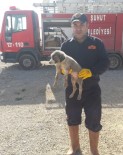 Kanalizasyon Borusuna Sıkışan Yavru Köpeği İtfaiye Ekipleri Kurtardı Haberi