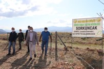 Sorkuncak Köyü Lavantalarla Cazibe Merkezi Haline Getirilecek Haberi