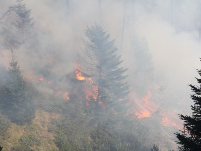 3 Gündür Devam Eden Orman Yangını Yayla Evlerine Kadar Ulaştı