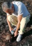 Alevlerin Arasından Kurtarılan Kaplumbağaya Can Suyu Haberi