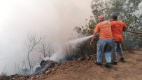 Manavgat'taki Orman Yangını Kontrol Altına Alındı