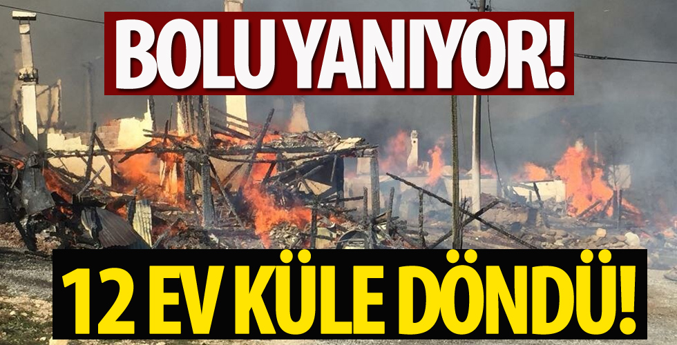 Bolu'da korkutan yangın: 12 ev küle döndü!