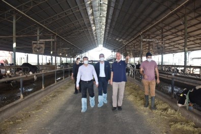 Kaymakam Şahin, Kocagür'deki Çiftliği Ziyaret Etti