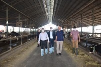 Kaymakam Şahin, Kocagür'deki Çiftliği Ziyaret Etti