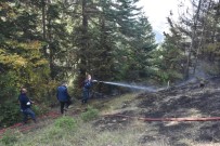 Boyabat'ta Çıkan Orman Yangını Kontrol Altına Alındı Haberi