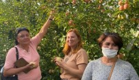 Rus Turistler Eğirdir'de Elma Hasadı Turuna Katıldı Haberi