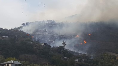 Adana'daki Orman Yangınına Müdahale Sürüyor