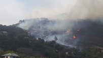 Adana'daki Orman Yangınına Müdahale Sürüyor