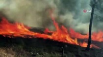 GÜNCELLEME 2- Adana'da Çıkan Orman Yangını Kontrol Altına Alındı