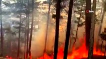 GÜNCELLEME - Mersin'de Çıkan Orman Yangınına Müdahale Ediliyor Haberi