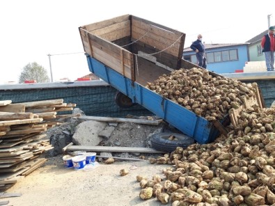Pancar Yüklü Traktörün Römorku Devrildi