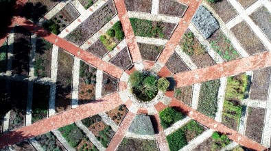 Rengi Ve Görüntüsüyle Cezbeden Bu Bitkiler Zehirliyor