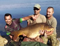 Tam 27,5 Ağırlığındaki Dev Sazan Balığı