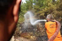 Mersin'deki Orman Yangınında Soğutma Çalışmaları Sürüyor Haberi