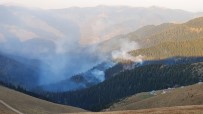 Örümcek Ormanları'ndaki Yangını Söndürme Çalışmaları Sürüyor Haberi