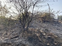 Samandağ'daki Yangın Kontrol Altına Alındı Haberi