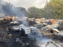Samandağ'daki Yangında Arı Kovanları Kül Oldu Haberi