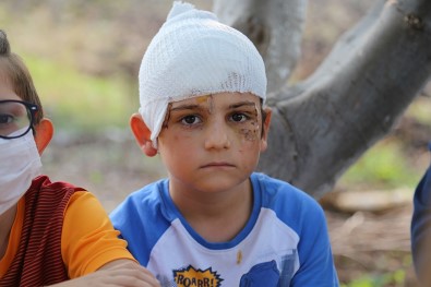 Sokak Ortasında Kangal Dehşeti