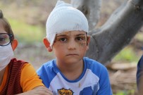 Sokak Ortasında Kangal Dehşeti