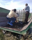 Sulama Kanalından Balık Kurtarma Operasyonu Haberi