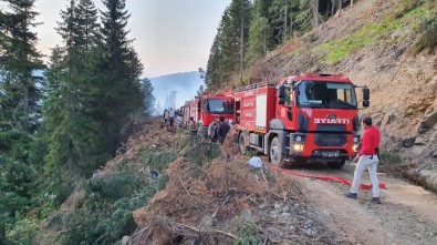 Vali Taşbilek Açıklaması 'Örümcek Ormanları'ndaki Yangın Kontrol Altına Alınma Seviyesinde'