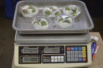 3 Erik 40, Kilosu 800 Liraya Satılıyor