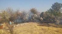Besni'de Bahçe Yangını Ağaçlara Zarar Verdi Haberi
