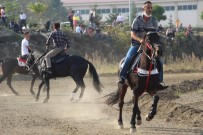 Cumhuriyet Bayramı Etkinlikleri Kapsamında At Yarışları Düzenlendi