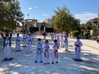 Cumhuriyet Karate Turnuvasına Sarayköy Damga Vurdu Haberi