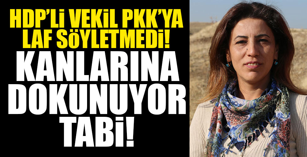 HDP'li vekil teröre tepki eylemini engellemek istedi!