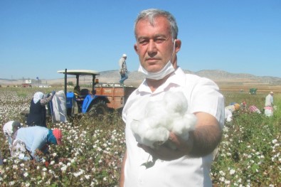 Araban'da Beyaz Altının Hasadı Başladı