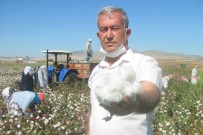 Araban'da Beyaz Altının Hasadı Başladı