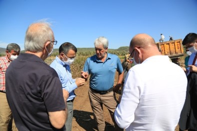 Beyaz Altında Hasat Dönemi Başladı