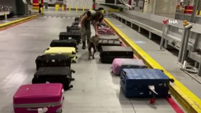 İstanbul Havalimanı'nda Uyuşturucu Operasyonu