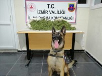 İzmir'de 8,5 Kilogram Uyuşturucu Ele Geçirildi Haberi
