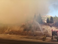İzmir'de Orman Yangını