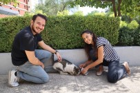 Kampüste 'Sevgi' Nöbeti