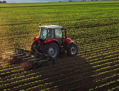 Tarlada ekim nöbeti