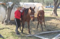 11 Yaşında At Binip, Engeller Üzerinden Atlıyor Haberi
