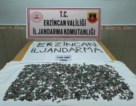 Erzincan'da 3 Bin 988 Adet Sikke Ele Geçirildi