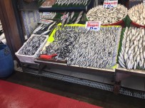 Hamsi Çoğaldı, Fiyatı Azaldı