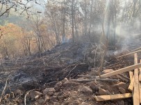 Ordu'da Ormanlık Alanda Yangın