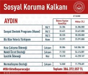 Pandemi Sürecinde Aydın'a 386 Milyon TL Destek